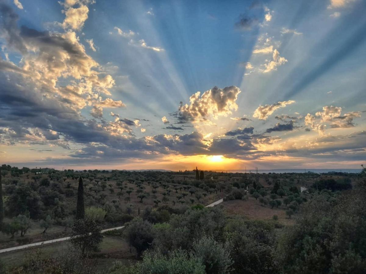 Alojamento de Acomodação e Pequeno-almoço Al Recanto Do Sol